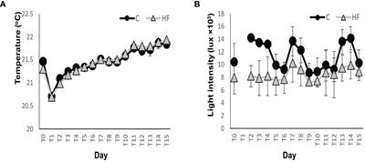 Brownification in the Eastern Mediterranean Sea: effect of simulated terrestrial input on the planktonic microbial food web in an oligotrophic sea